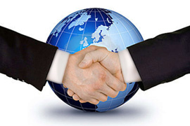 Our services